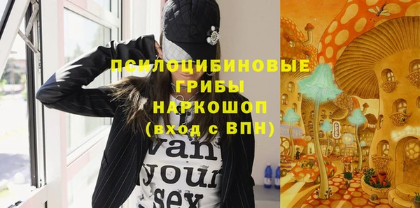 гашик Нея